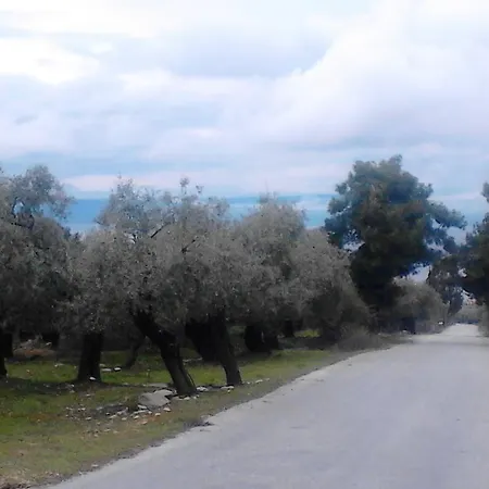Pensión Despina