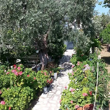 Guest house Despina Skala Sotiros