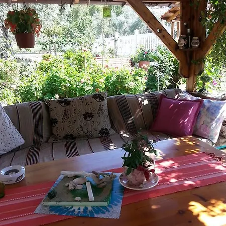 Despina Guest house *